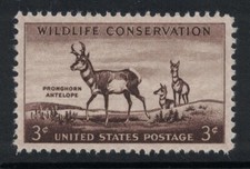 Scott 1078 pronghorn for sale  North Rose
