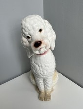Porcegama spain poodle for sale  LONDON