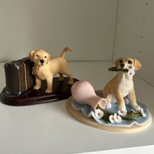 labrador retriever puppies for sale labrador retriever puppies for sale BIRMINGHAM
