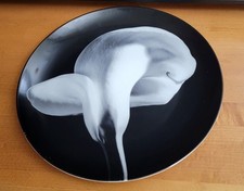 Robert mapplethorpe calla for sale  Hialeah
