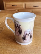 Shih tzu fine for sale  BRISTOL