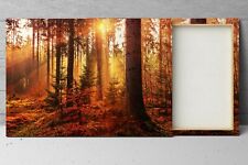 Quadro moderno con usato  Cosenza