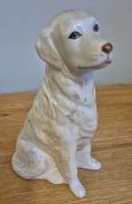Cats friends labrador for sale Cats friends labrador for sale  SOUTHAMPTON