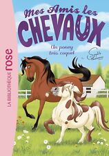 Amis chevaux poney d'occasion  Aix-les-Bains