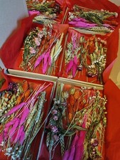 Dried letterbox flowers for sale  WESTGATE-ON-SEA
