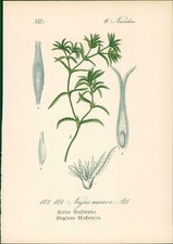 Chromolithographie kleine wass gebraucht kaufen  Sibbesse