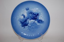 Sammelteller jahresteller blau gebraucht kaufen  Lichtenfels