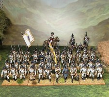 28mm napoleonic austrian for sale  MACCLESFIELD
