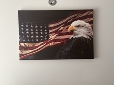 canvas bald eagle painting for sale  New Baltimore