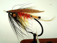 Gut eye salmon for sale  SWANSEA