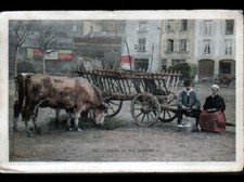 Aurillac cattle hitch d'occasion  Expédié en Belgium