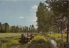 Cartolina epoca paesaggio usato  Melito di Napoli