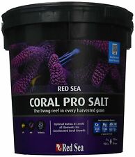 Small bucket coral for sale  Phoenix