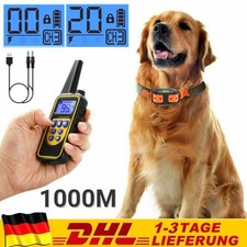 1000m hund ausbildung gebraucht kaufen  Euskirchen