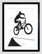 bmx ramps for sale  EDINBURGH