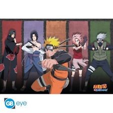 Naruto shippuden freunde gebraucht kaufen  Regensburg