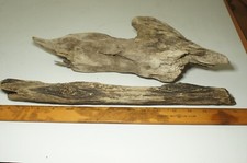 Driftwood terrarium aquarium d'occasion  Expédié en Belgium
