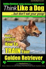 Golden retriever golden for sale  USA