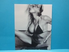 Pamela anderson silver for sale  Los Angeles