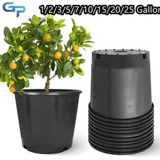 Garden plant nutrition for sale  Chino