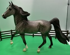 stallion horse morgan for sale stallion horse morgan for sale Newark