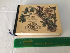 Guida pratica agli usato  Parma