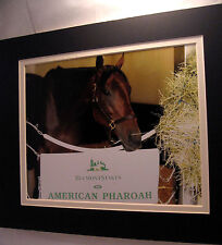 American pharoah happy for sale  Albany