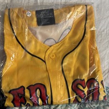 2025 PEANUTS / RED SOX Charlie Brown JERSEY 75º ANIVERSÁRIO INGRESSO ESPECIAL GG comprar usado  Enviando para Brazil