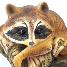 Climbing racoon figurine for sale  Bristow