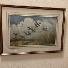 Peter scott large for sale  BECCLES