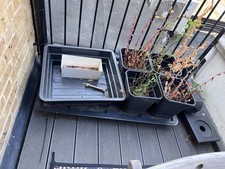 Set self watering for sale  LONDON