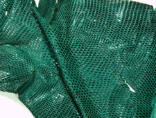 Lézard peau entière d'occasion  Doyet