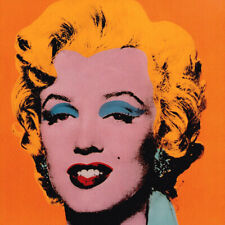 Andy warhol pop usato  Napoli