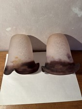 Tulipe 1900 rare d'occasion Tulipe 1900 rare d'occasion  Saint-Dié-des-Vosges