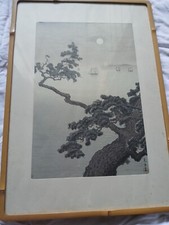 Japanese full moon for sale  Vallejo
