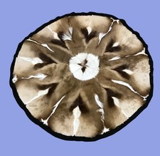 Round brown white for sale  Atlanta