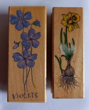 daffodil stamp for sale daffodil stamp for sale ENFIELD