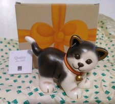 Gatto europeo medio usato  Italia