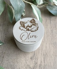 Personalised chihuahua dog for sale Personalised chihuahua dog for sale  BECKENHAM