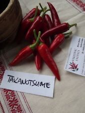 Peperoncino takanotsume semi usato  Spedire a Italy