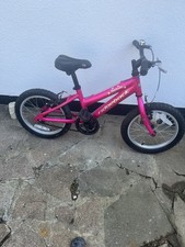 Ridgeback melody girls for sale  HATFIELD