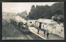 Trusham railway station for sale  LYDNEY
