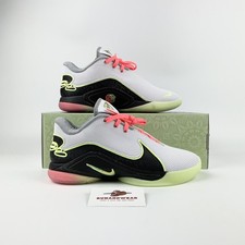 Nike lebron crown usato  Siracusa