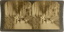 Underwood japan nikko d'occasion  Pagny-sur-Moselle