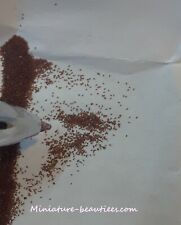 Imbe Micro Sinningia Pusilla comprar usado  Enviando para Brazil