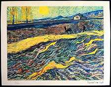 Vincent van gogh usato  Roma