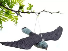 Falco spaventapasseri dissuaso usato Falco spaventapasseri dissuaso usato  Borgo San Dalmazzo