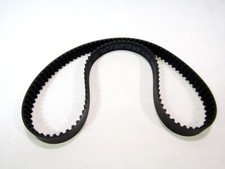 804 cingia dentata usato  Rovigo