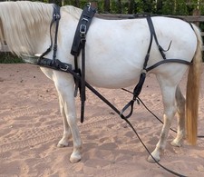 Kutschgeschirr komplett warmbl gebraucht kaufen  Burgthann