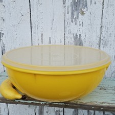 Vintage tupperware harvest for sale  Knoxville
